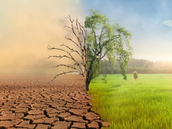 Climate Action